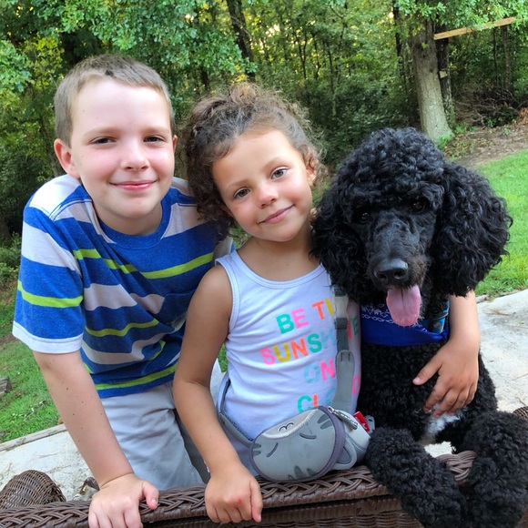 🐢 Dewy Eyed Disney Bride 🐢 - Picture 4 of 4